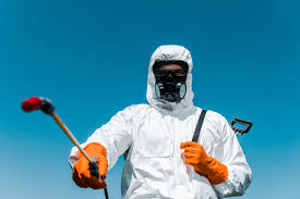 Real Estate Pest Inspections in Temple City, CA